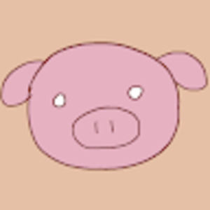 Meet your Posher, Hailey